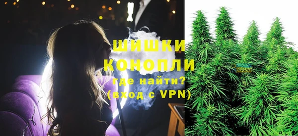 трава Зерноград
