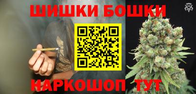 индика Нягань