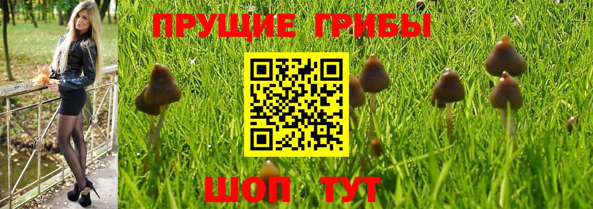 Галлюциногенные грибы Magic Shrooms  Вход с VPN  Галлюциногенные грибы мухоморы  Ирбит 